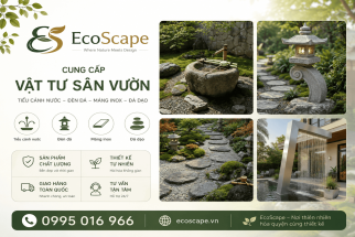 Cung Cấp Vật Tư Sân Vườn Chất Lượng Cho Mọi Công Trình Sân Vườn
