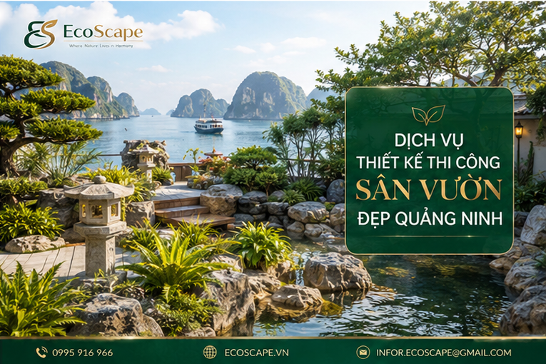 Dịch Vụ Thiết Kế Thi Công Sân Vườn Đẹp Biệt Thự Quảng Ninh