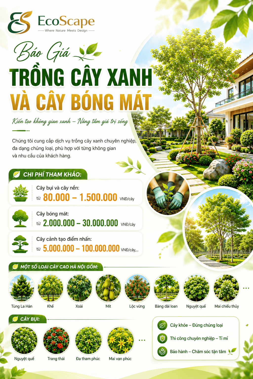 Báo giá thi công sân vườn 