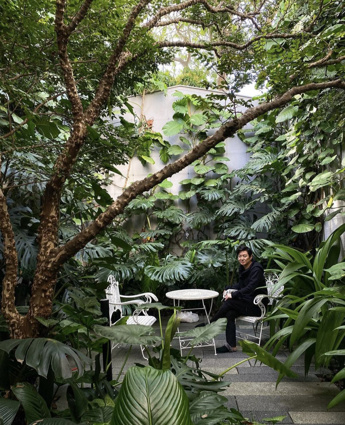 Thi công sân vườn Nhiệt Đới