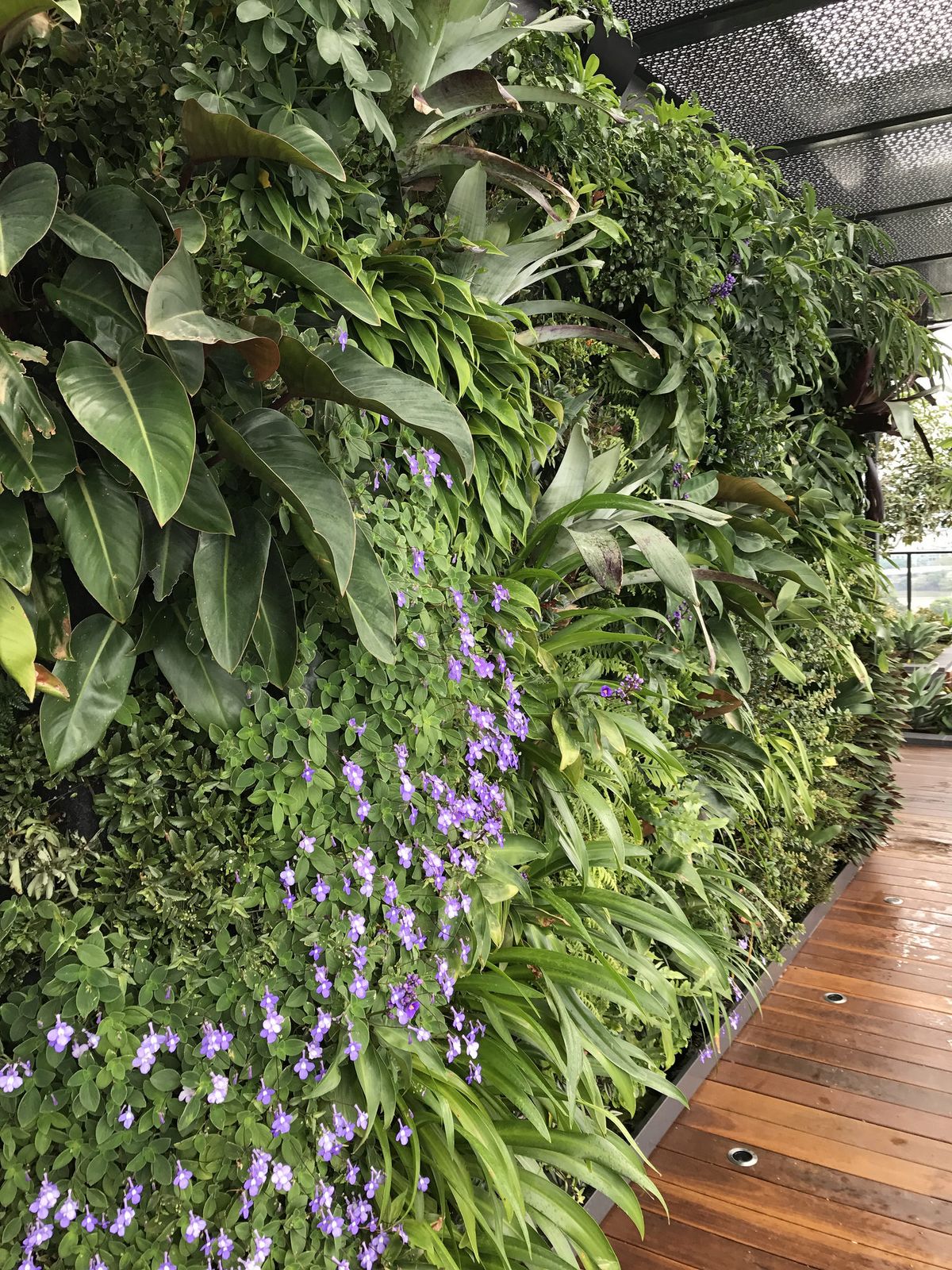 Thi công tường cây đẹp Hà Nội