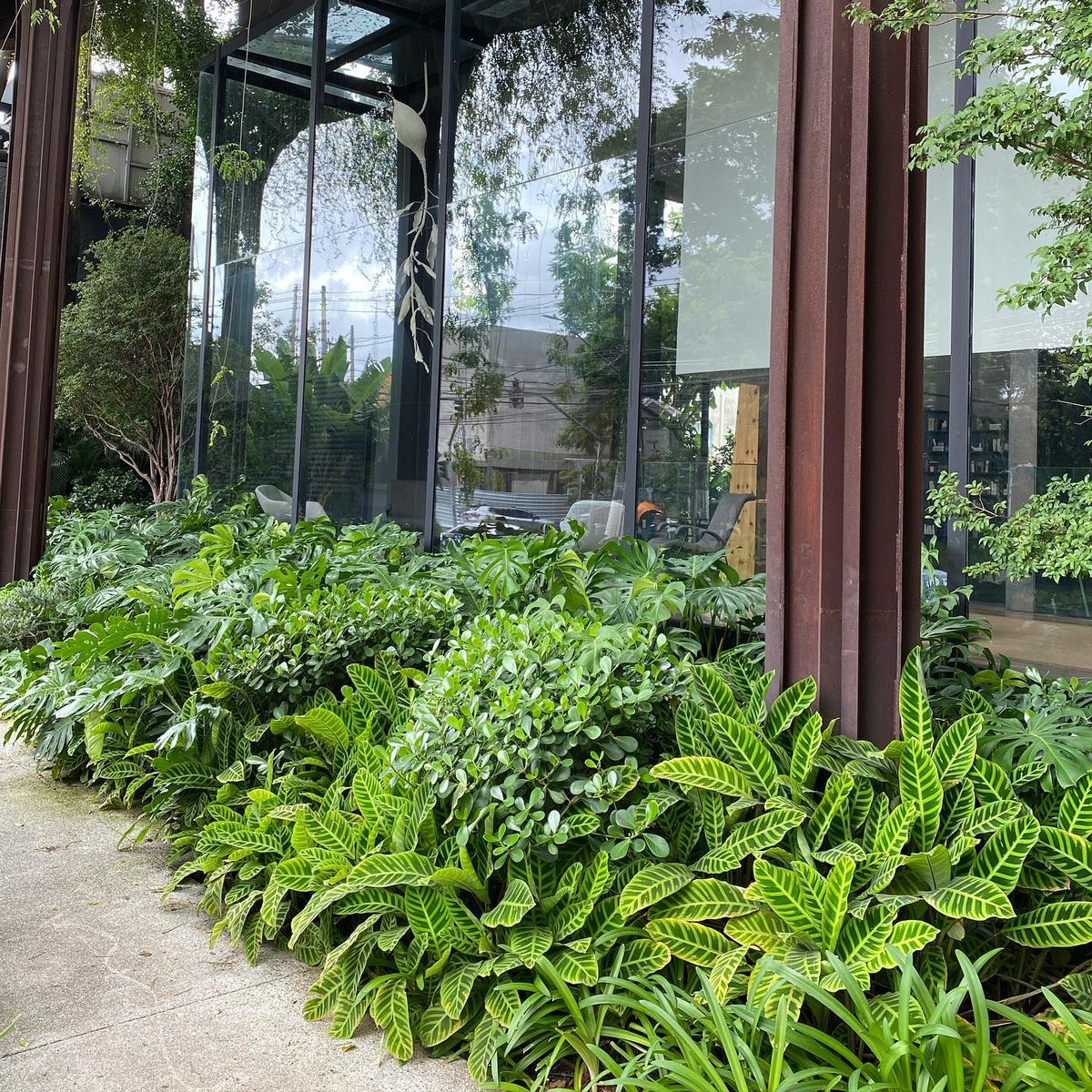 Thi công sân vườn nhiệt đới đẹp