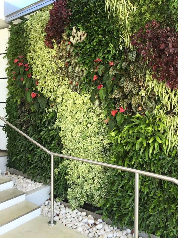 Hướng dãn thi công tường cây/ vườn trên tường